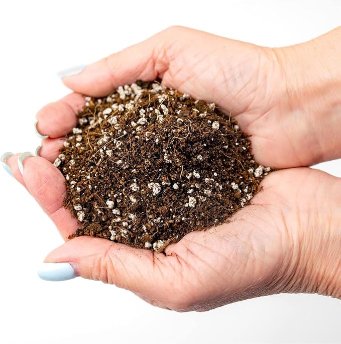 Organic Potting Soil for Tomato Plants - 2 Quart - Hand-Mixed with Natural Ingredients for Optimal Growth and Nutrient Retention