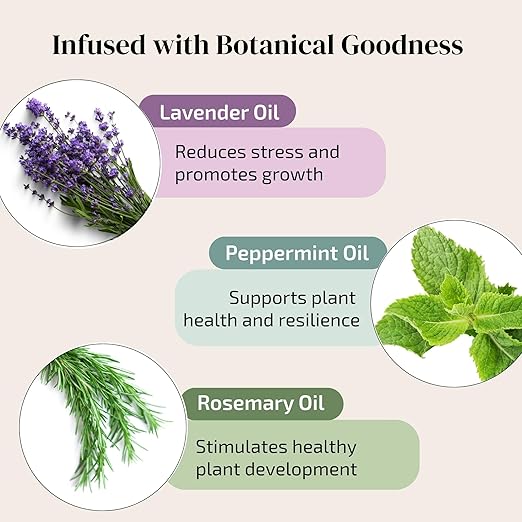 Plant Leaf Cleaner & Leaf Shine, Plant Cleaner | 2 Pack of 50 (Total 100 Count)