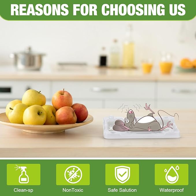 Qualirey 20 Pcs Baited Mouse Glue Traps Indoor for Home Adhesive Plastic Sticky Rat Traps Pads Bulk for House Pest Mice Rats Indoor Outdoor, Simple and Easy to Use (White)