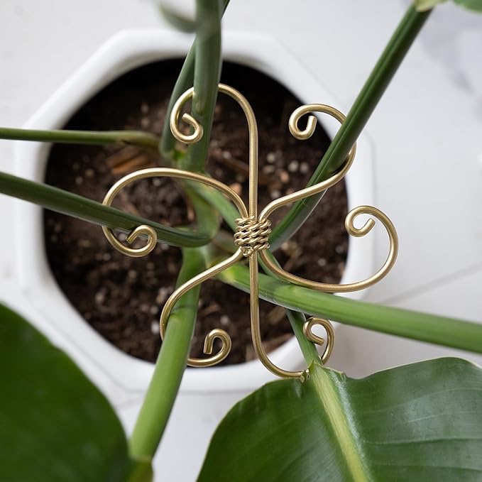 5PCS Plant Stem Support - Durable 5pcs Iron Grapple Holder for Monstera & Climbing Plants, Unique Design for Optimal Growth, Bamboo Clamp Set for Leaf Stabilization and Support (Gold)