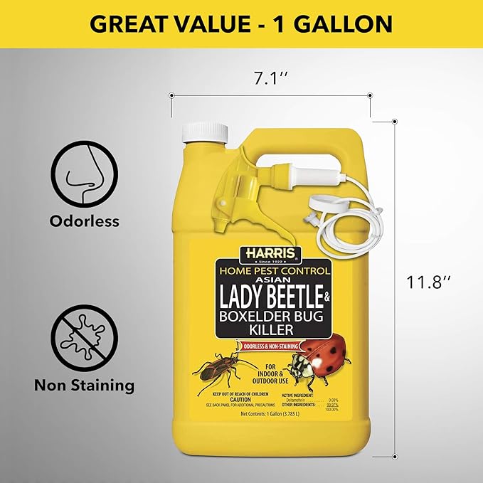 Harris Asian Lady Beetle, Japanese Beetle, and Box Elder Killer, Liquid Spray with Odorless and Non-Staining Extended Residual Kill Formula (Gallon)