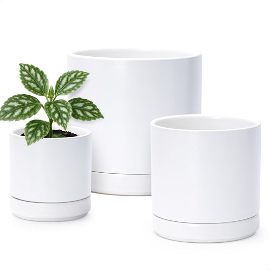 D'vine Dev 4 Inch & 6 Inch & 8 Inch, Set of 3 Round Ceramic Planter Pot with Drainage Hole and Saucer, White, 94-T-M-1