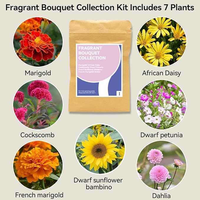 inbloom Fragrant Bouquet Seed Pod Kit for AeroGarden, iDoo, Ahopegarden, GARDENCUBE, 12 Pods (350+ Flower Seeds with Sunflower, Petunia, Mexican Marigold, Cockscomb, French Marigold, Dahlia)