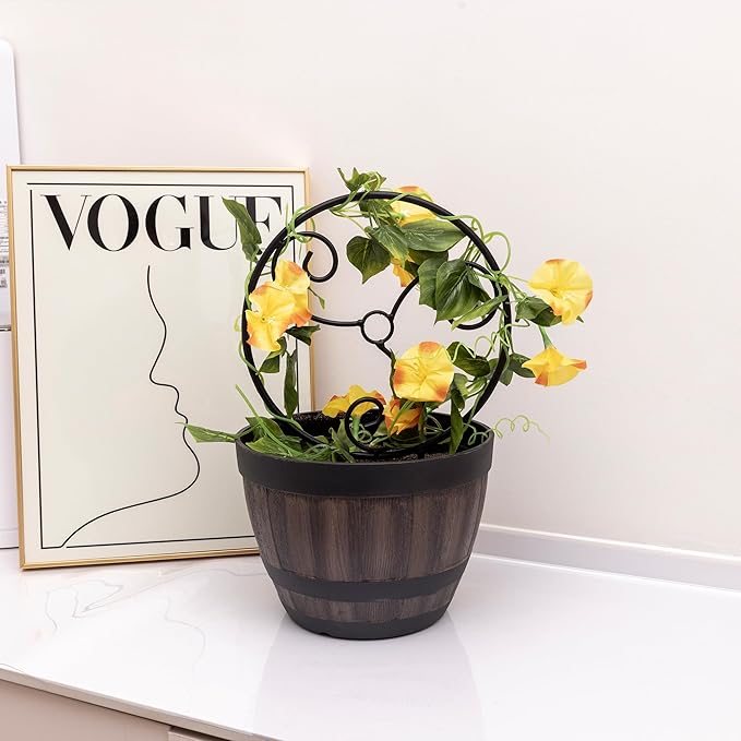 2 Pcs Small Indoor Metal Garden Plant Trellis for Climbing House Pot Plants, Black (Style F)