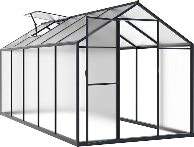 BlueWish 6x10FT Greenhouses for Outdoors, Aluminum Greenhouse with Adjustable Vents, Rivet Structure, Walk-in Green House with Polycarbonate, Heavy Duty Greenhouse Kit for Garden, Gray