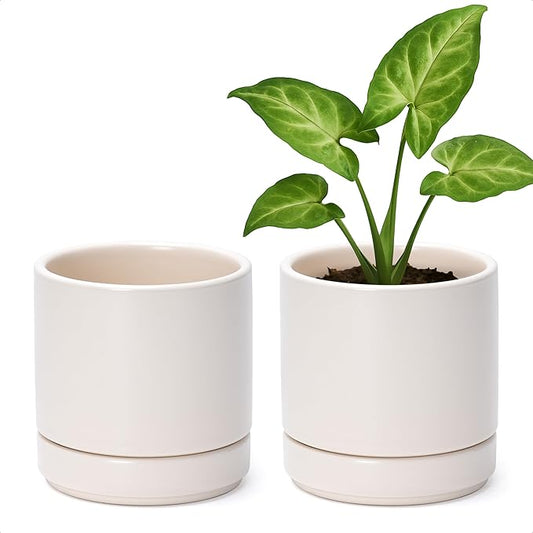 D'vine Dev Set of 2 Plants Pots, 4.7 Inch Ceramic Planter Pot for Plants with Drainage Hole and Saucer, Oatmeal, 94-V-B-8