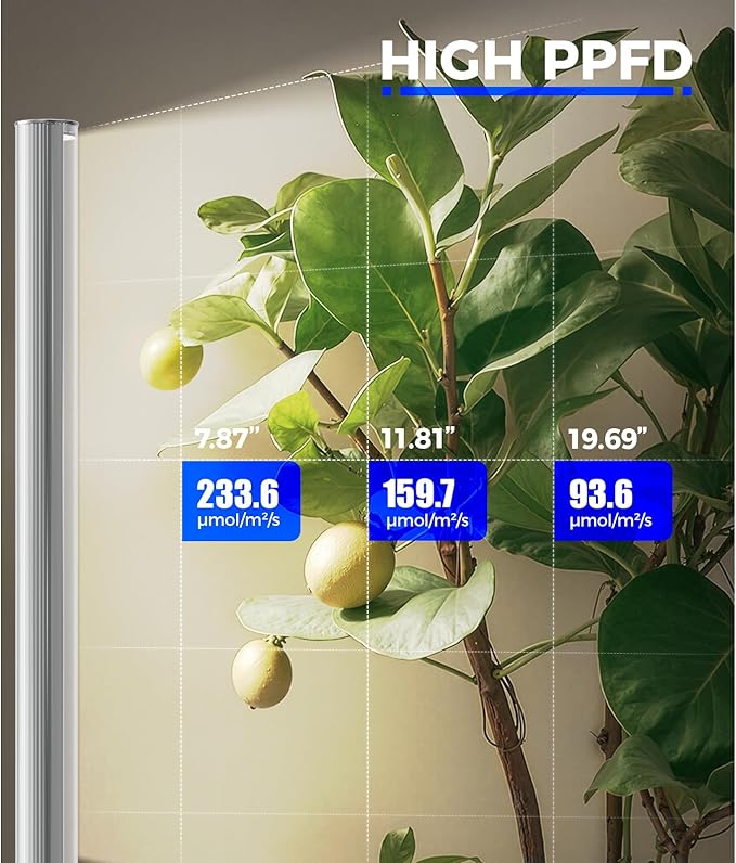 Barrina T1S Standing Grow Light for Indoor Plants with Timer, 65W 660nm High PPFD Tera Series Vertical Full Spectrum Grow Lights Adjustable Height 5FT-5.6FT, Foot Switch, Non-Glare Design, Silver