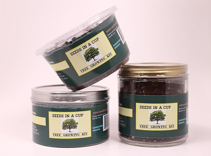 Wisteria- Plant Grow Kit | Wisteria Plant Grow Kit | Indoor/Outdoor Wisteria Starter Kit | Grow Your Own Wisteria | Educational | Great Gift Idea (Tin Planter)