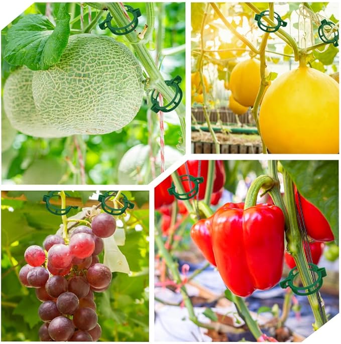 200 Pcs Plant Support Tomato Clips, Garden Clips, Crop Clips for Vine Vegetables, Fixing Tomato, Sweet Pepper, Eggplant, Makes Plants Grow Upright and Healthier（Green）