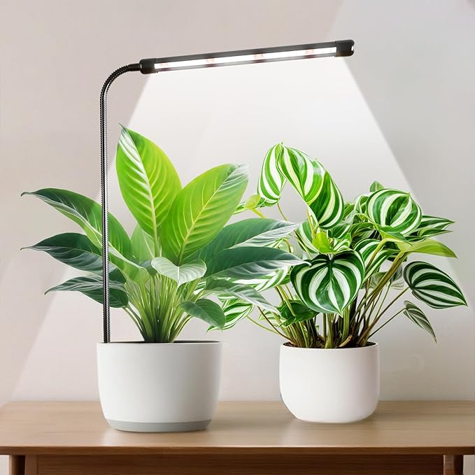 Grow Light for Indoor Plants Growing, 1 Pack 6000K Full Spectrum Gooseneck Plant Lamp for Seedings Succulents Small Plants, Auto On/Off Timing & 5 Dimming