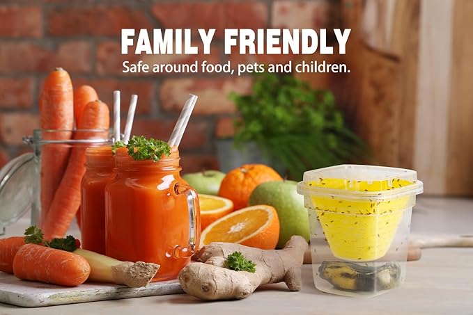 6 Pack Reusable Fruit Fly Trap, Non-Toxic Fruit Fly Catcher, Safe for Kids and Pets Fruit Fly Control, Trap for Alive Fruit Flies, Easy to Use for Kitchen, Home