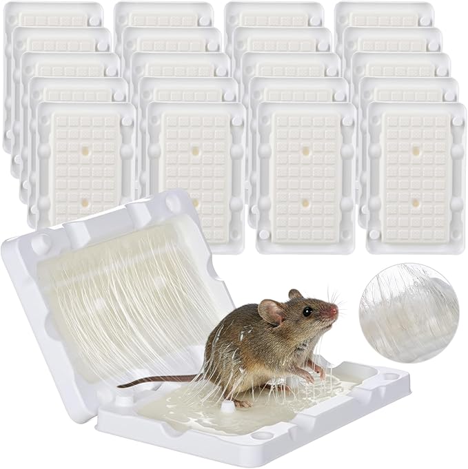 Qualirey 20 Pcs Baited Mouse Glue Traps Indoor for Home Adhesive Plastic Sticky Rat Traps Pads Bulk for House Pest Mice Rats Indoor Outdoor, Simple and Easy to Use (White)