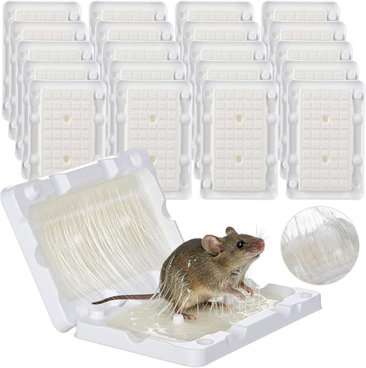 Qualirey 20 Pcs Baited Mouse Glue Traps Indoor for Home Adhesive Plastic Sticky Rat Traps Pads Bulk for House Pest Mice Rats Indoor Outdoor, Simple and Easy to Use (White)