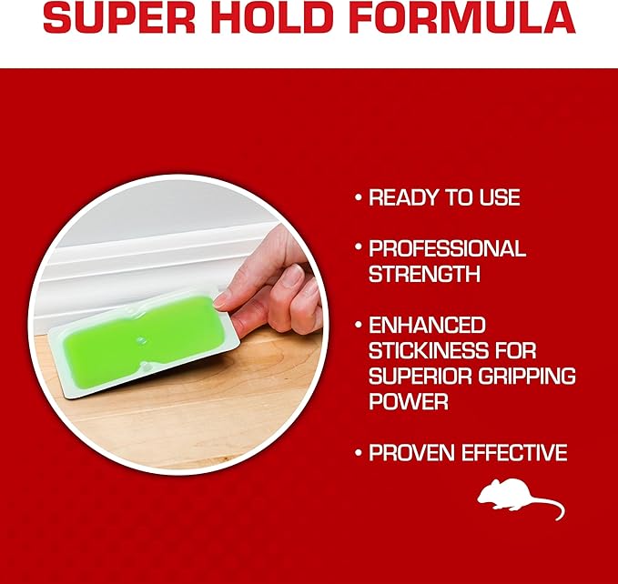 Tomcat Super Hold Glue Traps Mouse Size for Mice, Cockroaches, Spiders, and Scorpions, Ready-To-Use, 4 Traps (2-Pack)