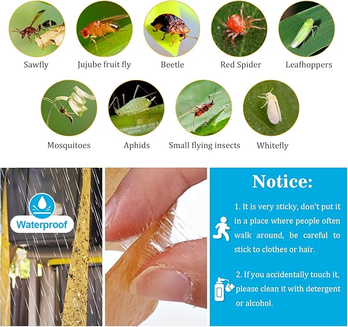 Glovv 60 Pack Sticky Fly Trap Indoor, Flies Strips Indoor Outdoor Hanging Paper Rolls for Home, Bug & Fruit Gnat Ribbons Tape Killer Catcher for Kitchen, Flying Insect Trap for Winged Insect, Mosquito