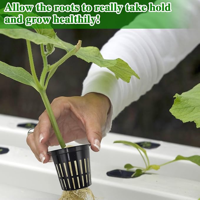 Halatool 72PCS 1.2 Inch Rockwool Cubes with 56PCS 2 Inch Net Cups for Hydroponics Great Kratky Hydroponics Kit for Soilless Cultivation Cloning Plants Growing Seeds