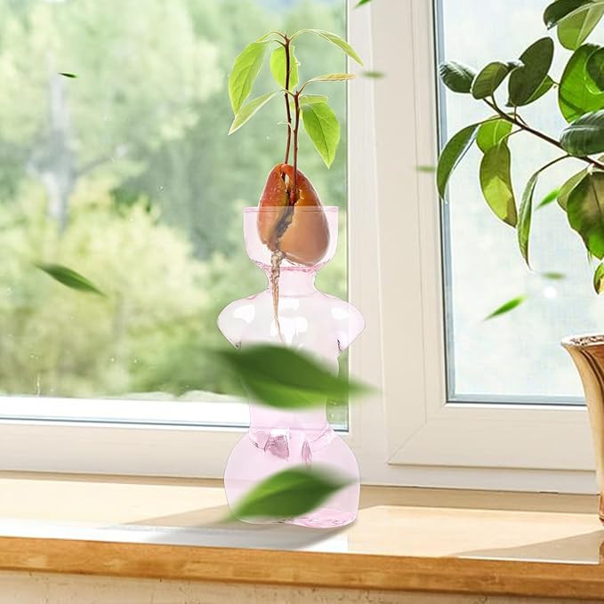 Propagation Vases for Plants Plant Propagation Jars Unique Body Avocado Vase Glass Planter Perfect for Seed Starting Water Rooting and Home Decor Gift for Father
