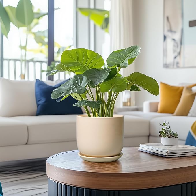 Ceramic Plant Pot - 7 Inch Mid Century Round Ceramic Planter for Indoor Plants with Drainage Hole and Saucer, Modern Home Decor, Yellow