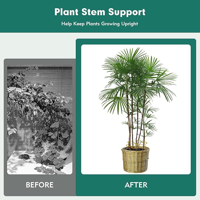 Kerros Monstera Plant Support 5 Pack, Plant Stem Support Metal Plant Stabilizer for Indoor Plants Stem Stabilizer Growth Accessories, Gold