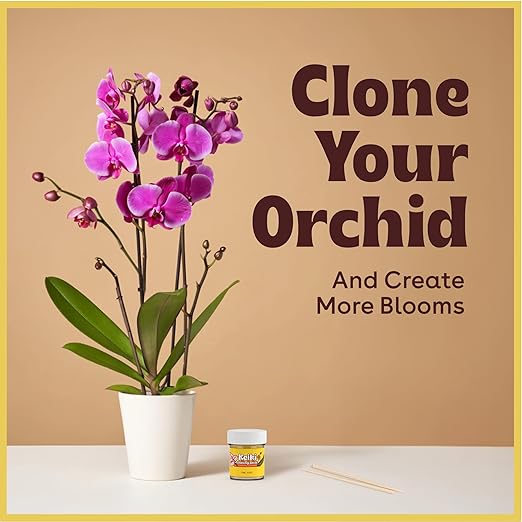 Keiki Paste for Plants to Clone & Create New Growth - 2X The Paste - Rapid Start Cloning Gel for House Plants - Keiki Cloning Paste for Plants- Nutrient Rich Plant Growth Gel - 0.5oz