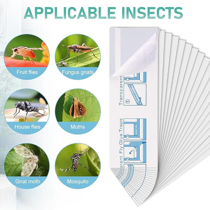 60 Pcs Window Fly Traps for Indoor/Outdoor, Insect, Bugs, Fly & Fruit Fly Glue Sticky Adhesive Insect Killer - Easy to Use, Waterproof, Disposable, Non-Toxic, and Odorless, Economic Pack