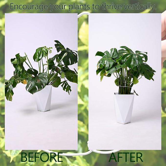 White Monstera Plant Stem Support - 5PCS 7.3x6.25in Durable Adjustable Garden Stake for Indoor Plants, Fishbone Cactus Holder, Innovative Leaf Clip Set, Ideal Tool for Healthy Plant Growth