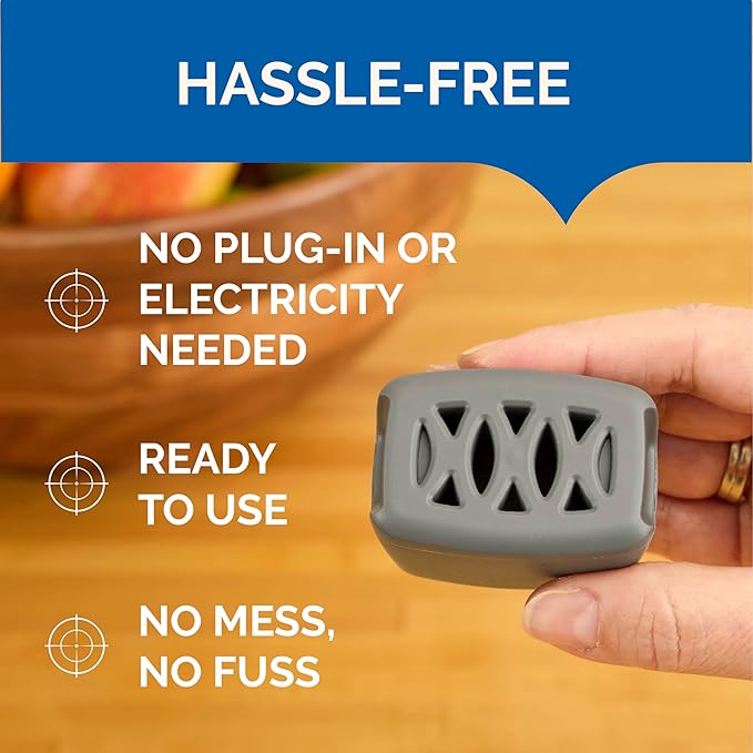 Hot Shot Flying Insect Trap, Discreet, Trap Attracts and Captures House Flies and Fruit Flies, 24/7 Continuous Attraction, No Plug-in Or Electricity Needed, 6 Count