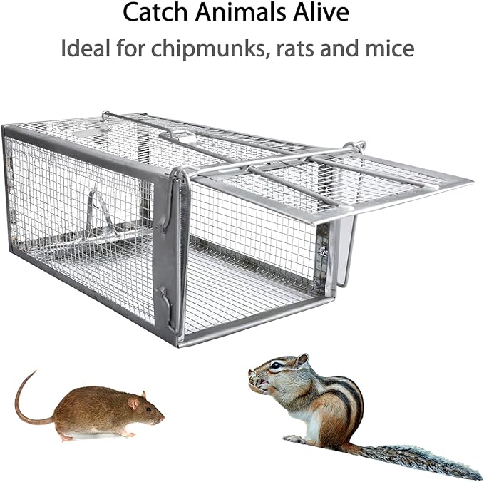 Gingbau Rat Trap Humane Live Mouse Chipmunk Trap Cage – Medium, 12.3" x 6.6" x 5.3"