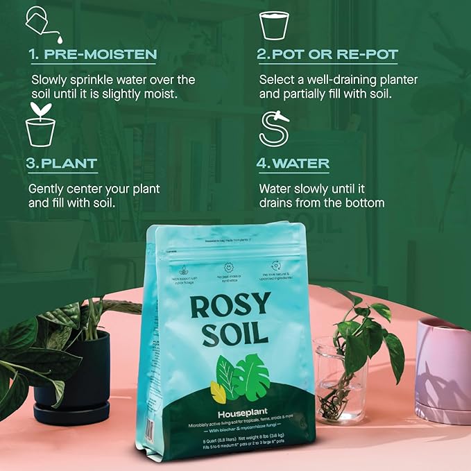Rosy Soil Cactus and Succulent Potting Soil Mix (4 qts) + Indoor Potting Soil (8 qts) - Peat Free House Plant Soil - Potting Soil Mix for Indoor Plants