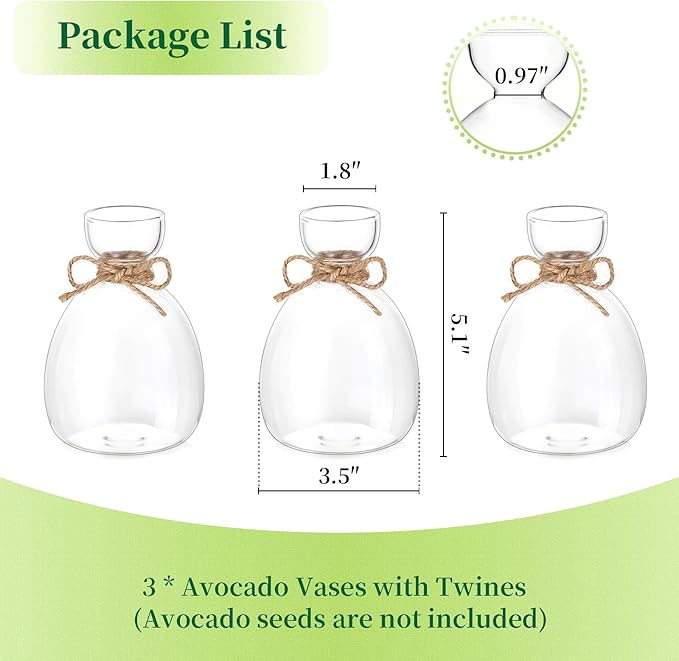 Hewory Avocado Seed Starter Vase: 3 Pcs Glass Avocado Tree Growing Kit Pot for Indoor Plant - Rustic Acorn Vases for Plant Gardening Lovers