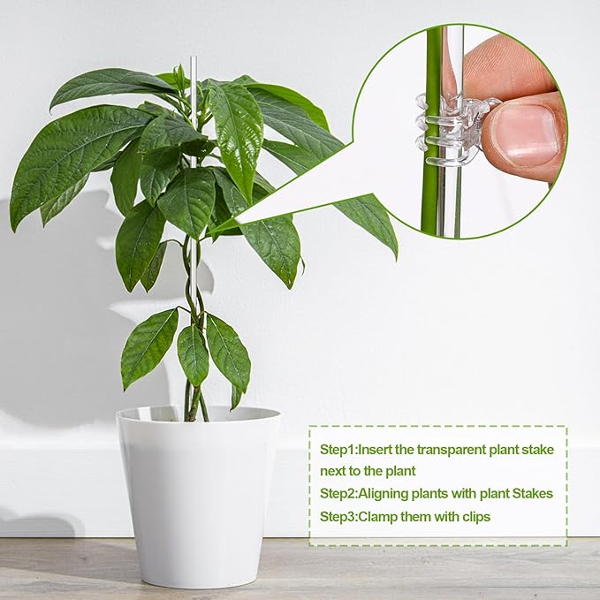 30 Pcs Plant Stakes Orchid Stakes 16Inch & 11Inch Clear Acrylic Plant Sticks Plastic Plant Support Stakes for Indoor Outdoor Garden with 30 Plant Clips for Potted Plants Vegetables Flowers