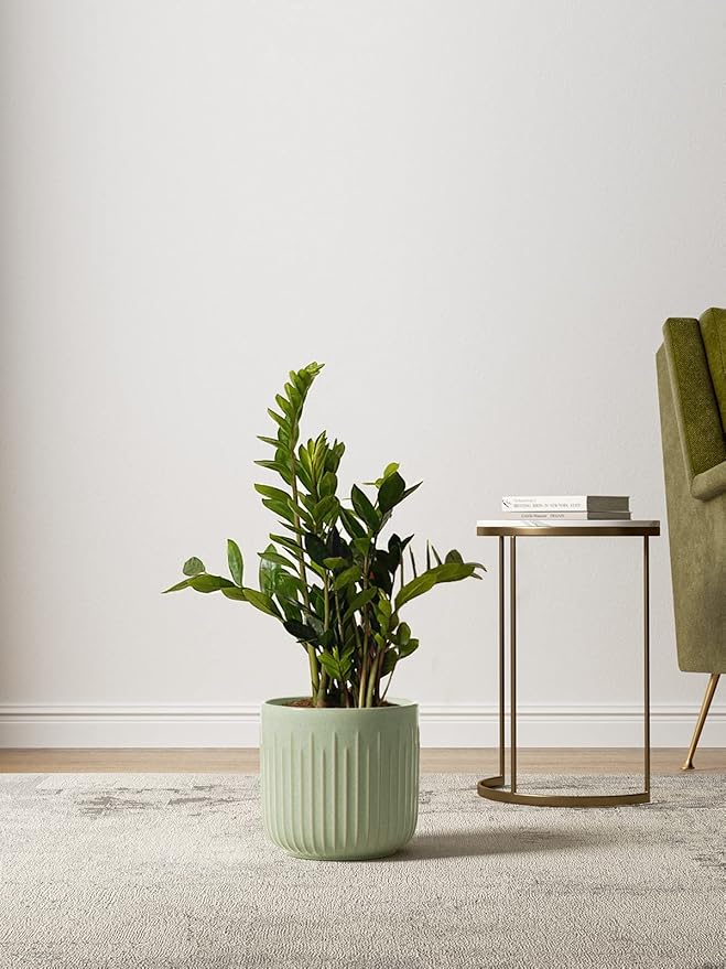 LE TAUCI Fluted Ceramic Planters Set of 3 – 8.3/7 / 5.7 in Sage Green Reactive Cylinder Indoor Plant Pots with Drainage Plug & Mesh, Glossy Stoneware Flower Pots for Succulents Herbs