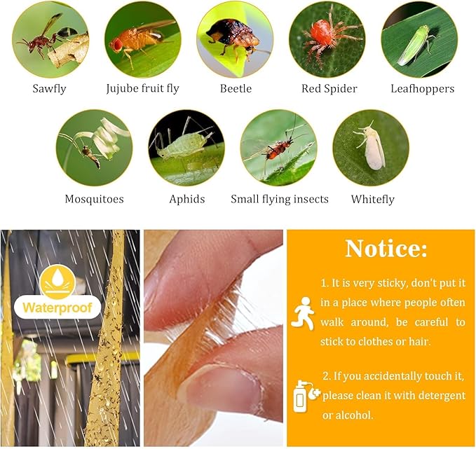 Glovv 24 Pack Sticky Fly Trap Indoor, Flies Strips Indoor Outdoor Hanging Paper Rolls for Home, Bug & Fruit Gnat Ribbons Tape Killer Catcher for Kitchen, Flying Insect Trap for Winged Insect, Mosquito