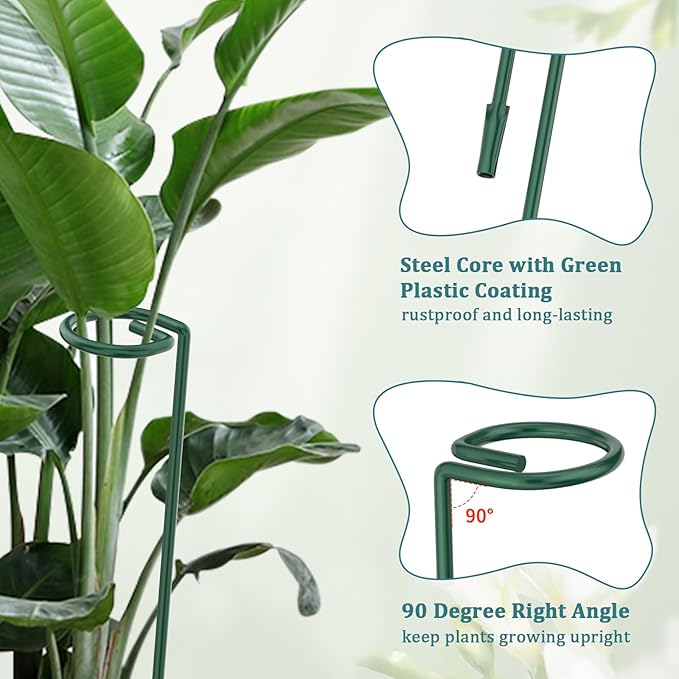 Plant Stakes for Indoor Outdoor Plants, 6 Packs 31.5 inches Plant Support Stakes with Twist Ties and Clips, Climbing Plant Sticks Garden Flower Stakes Support Hoops for Tomato, Pepper, Peony
