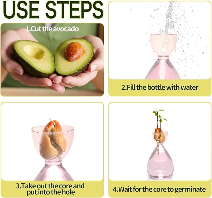 Avocado Vase Avocado Seed Starter Vases Avocado Trees Live Plants Growing kit Glass 2pc