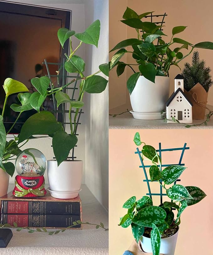 Plant Trellis Indoor, 6Pcs Stackable Plant Trellis for Climbing Plants Indoor, Small Plant Climbing Trellis for Potted Plants Plastic Climbing Plant Support Trellis for Houseplant Hoya Pothos