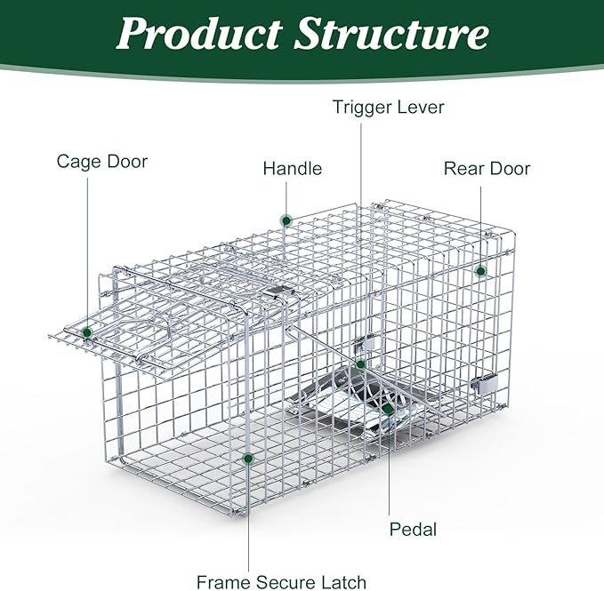 2 Pack Humane Rat Trap, Foldable Single Door Metal Mouse Cage for Small Squirrel Raccoon Feral and Other Small Live Animals, Easy to Catch and Release, Work for Indoor Outdoor