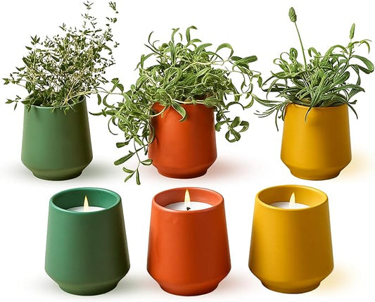 Modern Sprout Rooted Candle (Pack of 3) - 2 in 1 Scented Candles with Seeds That Grows into Plants - 6 oz Soy Candle with 42 hr Burn time in Matte Glaze Ceramic Vessel - Rosemary, Thyme, & Lavender
