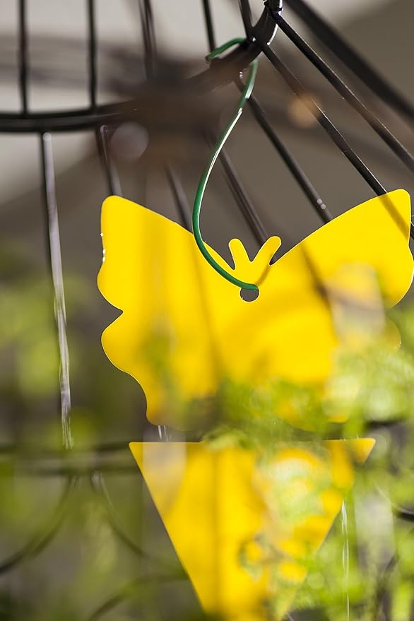 Trappify Sticky Gnat Traps for House Indoor - Yellow Fruit Fly Traps for Indoors|Outdoor Plants | Insect Catcher for White Flies, Mosquitos, Fungus Gnats | Disposable Glue Fly Trap Indoor (50 Pack)