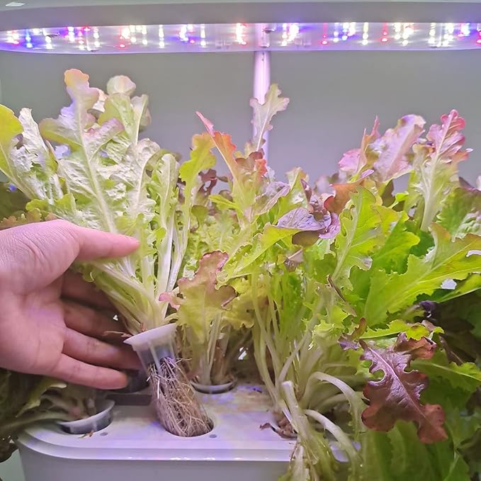 Grow Sponges, Starter Pods Compatible with Aero Garden,Refill Pods for Hydroponic Growing System (100pcs)