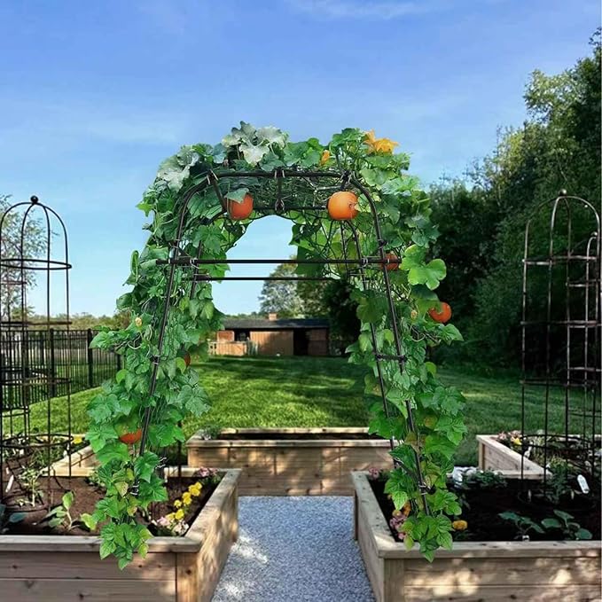 Garden Arch Plant Trellis for Climbing Plants Outdoor, Cucumber Trellis for Raised Bed, Grape Metal,Arbor Trellis Plant Support Flower Vegetables,Tomato Black,6.7FT Rust-Proof