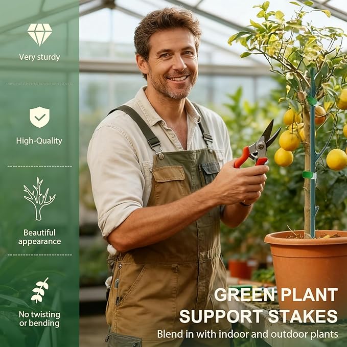 10 Pack Stackable Monstera Plant Support, 2025 New Plant Stakes for Indoor and Outdoor Plants Use, Garden Stakes for Climbing and Potted Plants, Pothos, Philodendron (10 Pack)