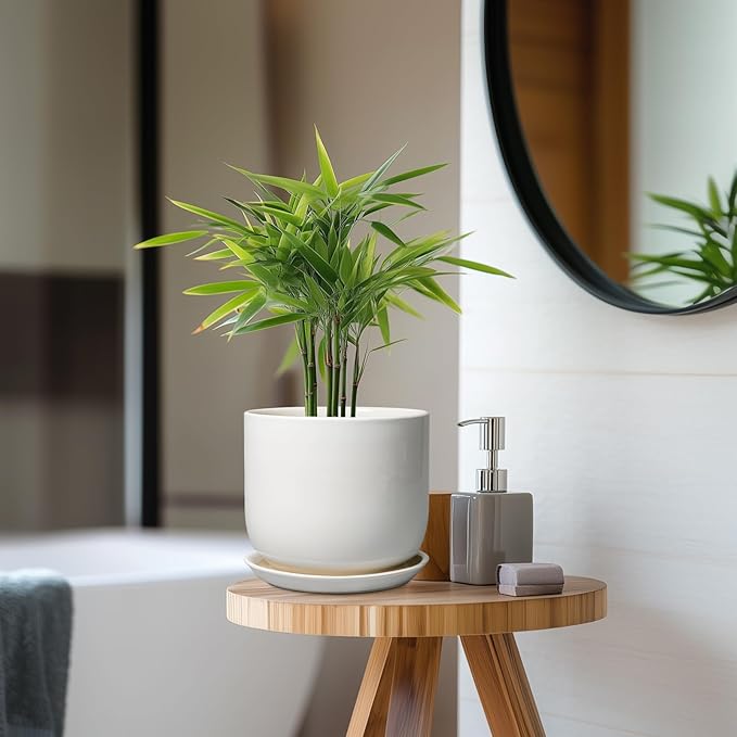 Ceramic Pot for Plants 7 Inch - Modern Round Indoor Outdoor Planter with Drainage Hole and Saucer, Home House Office Room Decor, White