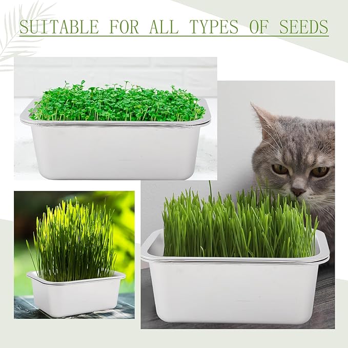Vesici 4 Pack Sprouting Tray Kit, Stainless Steel Soil Free Cultivation Germination Tray, Wheatgrass Growing Container, Seed Sprouting Container Kit for Indoors Plant Seed Beans Broccoli Arugula