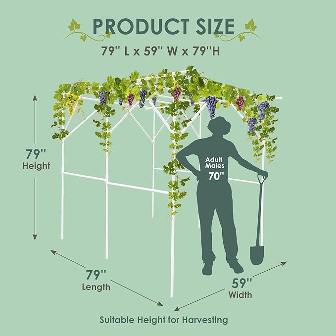 SHANTRA 79'' L x 59'' W x 79'' H Grape Trellis, Vine Support Arch Arbor, Garden Arch, Plant Climbing Pergola, Arbour Gazebo Trellis for Backyard Decoration, White Rack for Vineyard