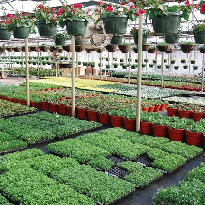 Farm Plastic Supply - Black & White Greenhouse Plastic Sheeting - 6 mil - (12' x 10') - 90% Reflective Green House Covering Film for Farming, Gardening, Agriculture