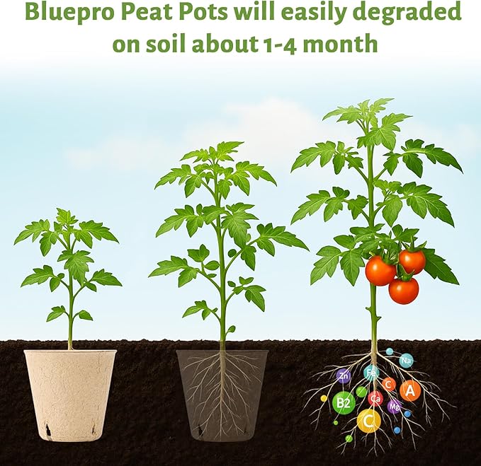 120 Packs 3.15 Inch + 4 Inch Peat Pots, Biodegradable Pots for Seedlings with Drainage Holes, Herb Seed Starter