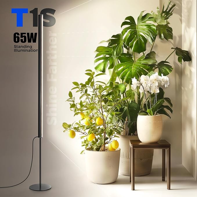 Barrina T1S Standing Grow Light for Indoor Plants with Timer, 65W 660nm High PPFD Full Spectrum, Tera Series Vertical Grow Lights Adjustable Height 5FT-5.6FT, Foot Switch, Non-Glare Design, Black