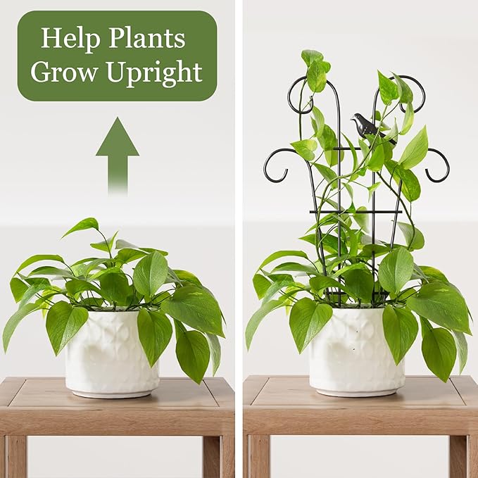 Plant Trellis for Climbing Plants Indoor, 3 Pack Metal Garden Trellis for Potted Plants, Rustproof, Sturdy Climbing Plant Support for Indoor & Outdoor Houseplants
