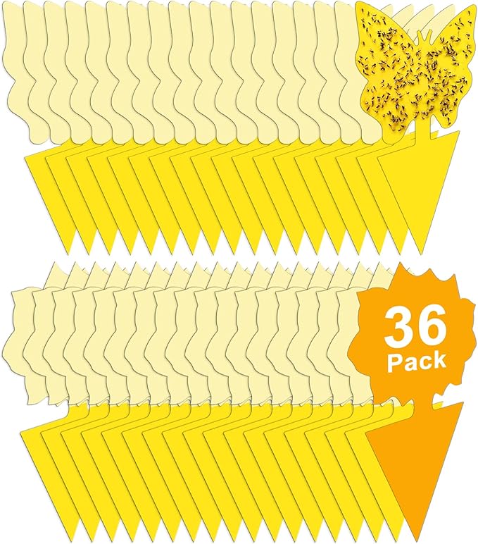 36 Pack Fruit Fly Traps for Indoors, Gnat Traps for House Indoor, Sticky Traps Fungus Gnats Killer for Mosquito and Flying Insects, Bug Pest Insect Catcher Killer for Houseplant